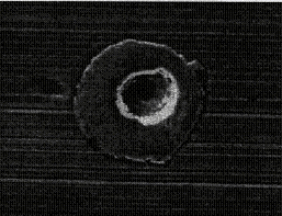 image051.gif